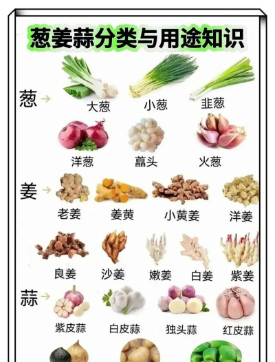 封闭阳台养花，解决空间限制，打造专属花园