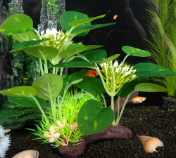 封闭阳台养花，解决空间限制，打造专属花园