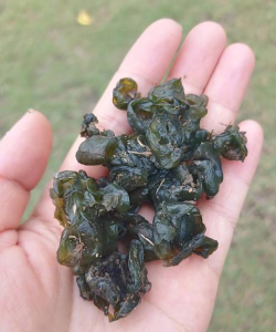 折枝花卉，传统美学，现代生活