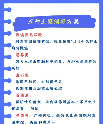 折枝花卉，传统美学，现代生活