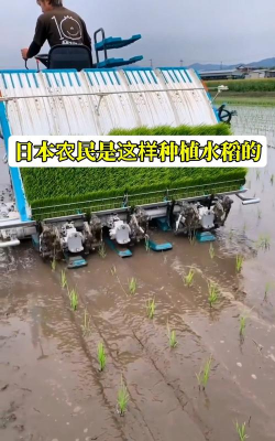 封闭阳台养花，解决空间限制，打造专属花园