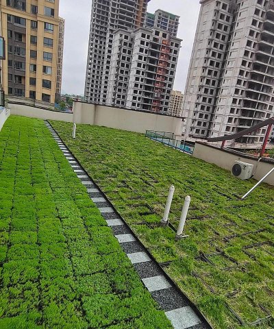 维生素c养花怎么用，给花草加点料，叶子油亮开花多