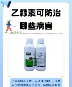 维c养花，效果究竟如何，看看真实体验