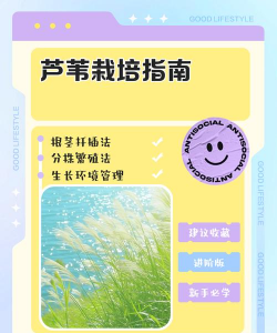 维c养花，效果究竟如何，看看真实体验