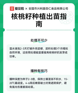 养花知识大全，新手入门指南，轻松养好花草