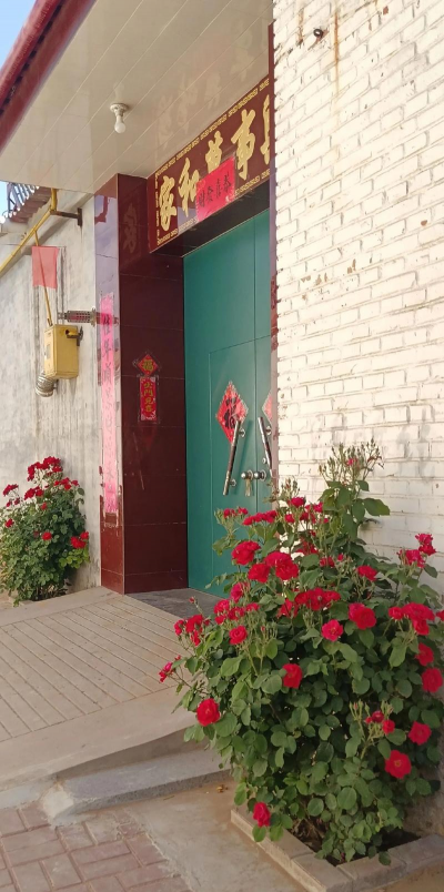 养花知识大全，新手入门指南，轻松养好花草