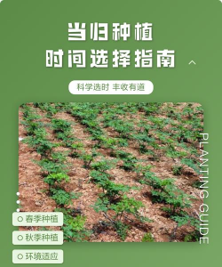 维c养花，效果究竟如何，看看真实体验