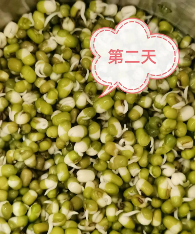 维c养花，效果究竟如何，看看真实体验