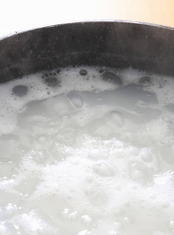 怎么养花，新手入门，轻松上手