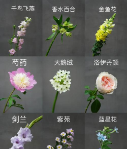 小众送妈妈的花有哪些花