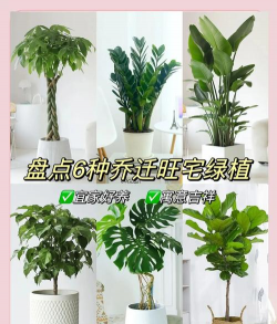 养花记录，分享日常养护，留下成长印记