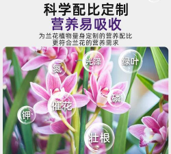小众送妈妈的花有哪些花