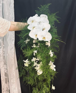 小众送妈妈的花有哪些花