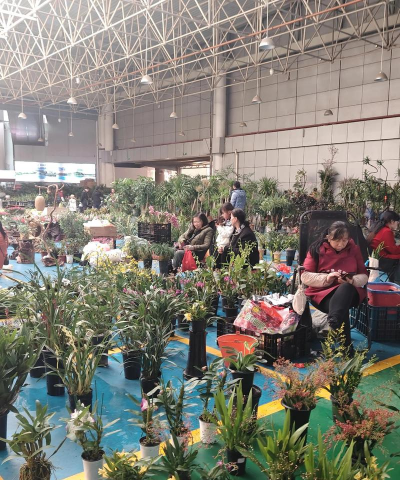 养殖场直联直报，提高数据效率，规范行业管理