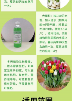 牛粪养花的正确方法，避免烧根，提升肥效