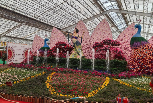 养花浇水，掌握正确方法，让植物健康生长