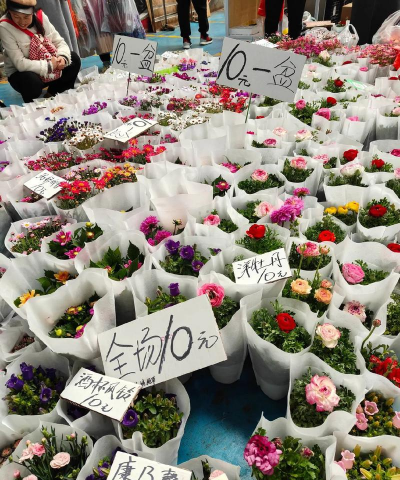 养花浇水，掌握正确方法，让植物健康生长