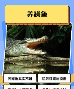 养花的英文，正确表达与实用场景，轻松掌握园艺词汇