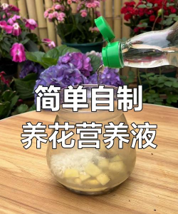 养花的英文，正确表达与实用场景，轻松掌握园艺词汇