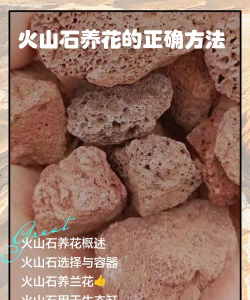 折枝花卉，传统美学，现代生活