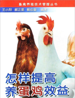 折枝花卉，传统美学，现代生活