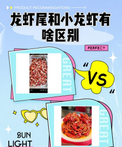龙虾尾和小龙虾的区别