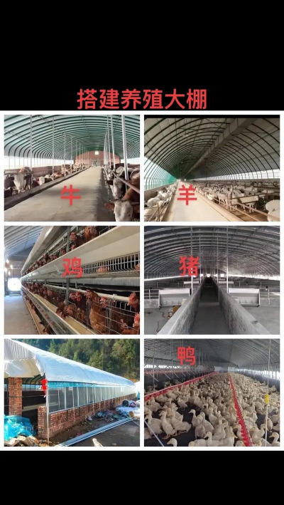 折枝花卉，传统美学，现代生活