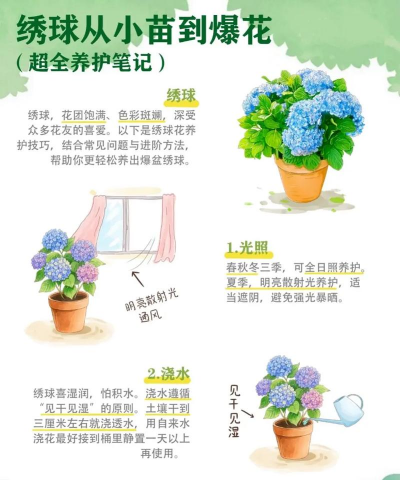 折枝花卉，传统美学，现代生活