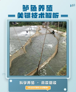 折枝花卉，传统美学，现代生活