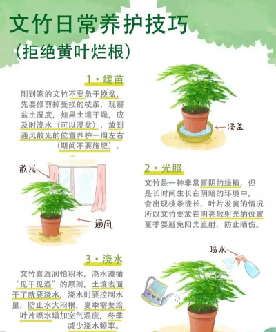 养花陶粒，提升植物生长，优化土壤环境