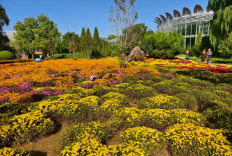 北京花卉大观园，赏花游玩好去处，四季花海美不胜收