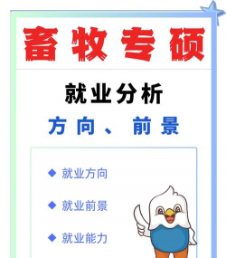 养花陶粒，提升植物生长，优化土壤环境