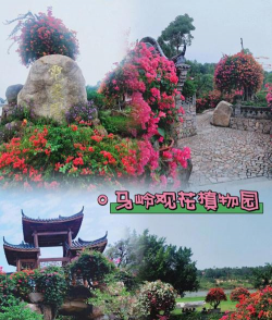 养花陶粒，提升植物生长，优化土壤环境