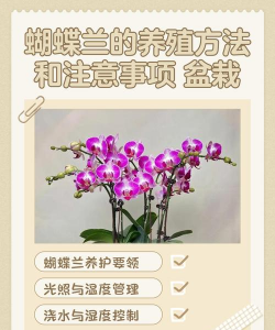 养殖场直联直报，提高数据效率，规范行业管理