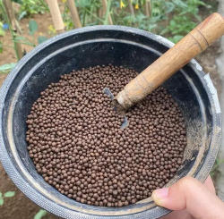 牛粪养花的正确方法，避免烧根，提升肥效