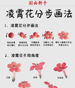 芦荟的养殖方法，轻松掌握技巧，养出健康植株