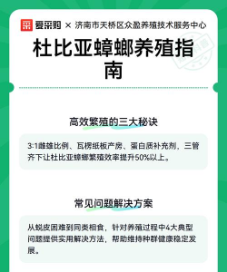 养花浇水，掌握正确方法，让植物健康生长