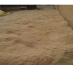 养花浇水，掌握正确方法，让植物健康生长