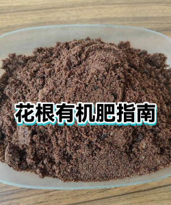 养花浇水，掌握正确方法，让植物健康生长