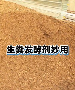 养花浇水，掌握正确方法，让植物健康生长