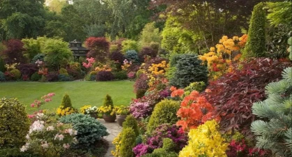 养花浇水，掌握正确方法，让植物健康生长