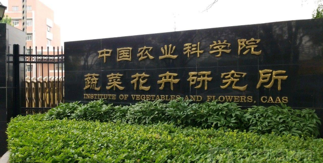 养花浇水，掌握正确方法，让植物健康生长