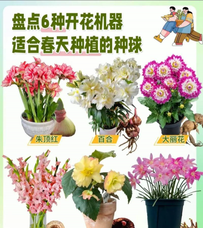 封闭阳台养花，解决空间限制，打造专属花园