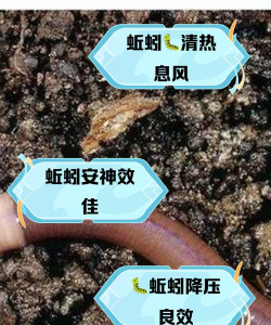 封闭阳台养花，解决空间限制，打造专属花园