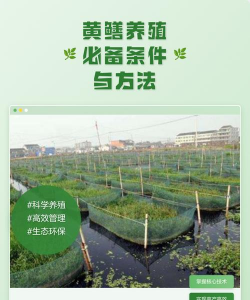 封闭阳台养花，解决空间限制，打造专属花园