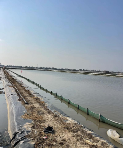 封闭阳台养花，解决空间限制，打造专属花园