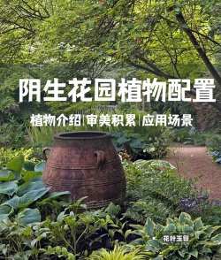 折枝花卉，传统美学，现代生活