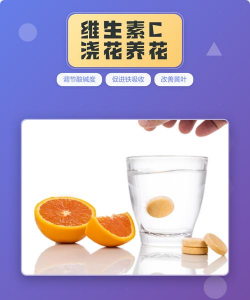 维生素c养花怎么用，常见误区，正确方法