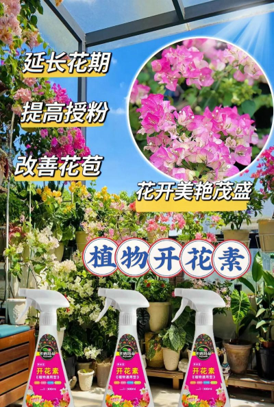 维生素c养花怎么用，给花草加点料，叶子油亮开花多