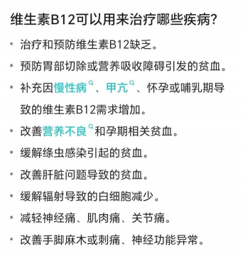 养花陶粒，提升植物生长，优化土壤环境